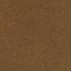 Art Anthology Colorations Color Spray - Warm