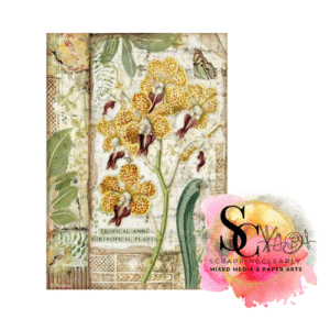 Stamperia Rice Paper Sheet A4 Amazonia - Orchids