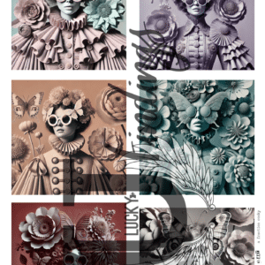 LUCKYfindings Imagery Sheet - a fraction cooky